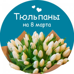 Купить тюльпаны в Краснозаводске